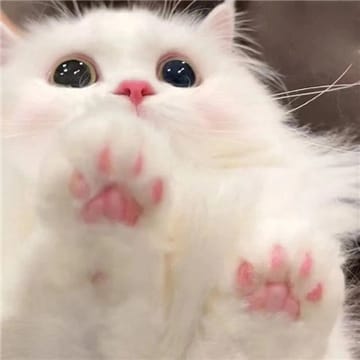 Người dùng OneBet